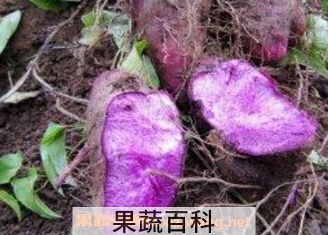 紫山药的功效 紫山药怎么吃好