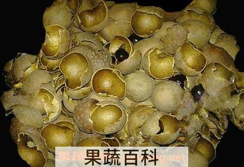 龙眼壳的神奇功效 
