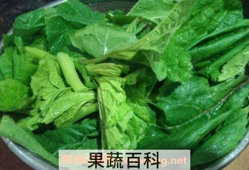 冬苋菜的功效 吃冬苋菜的好处