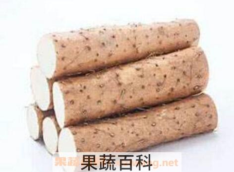 山药的药用价值与药用功效