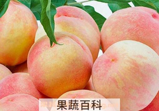 吃水蜜桃的好处有哪些
