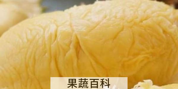 榴莲蜜和榴莲的区别