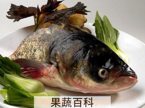 胖头鱼的功效与作用