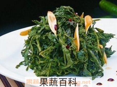 蒲公英的食用方法