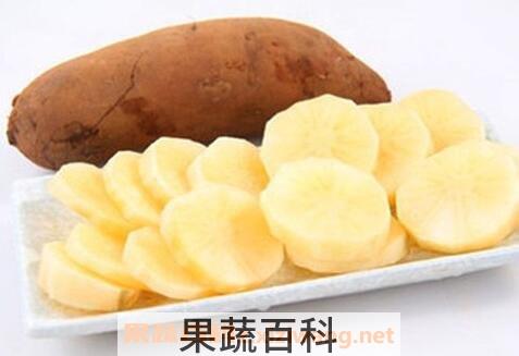 雪莲果的副作用