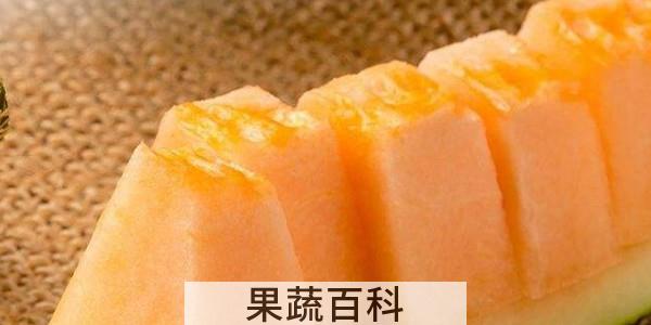 八六王哈密瓜的口感特点