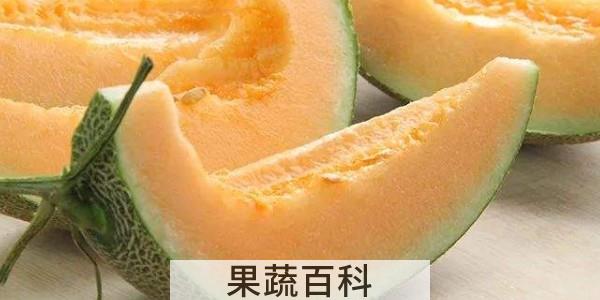 八六王哈密瓜的口感特点