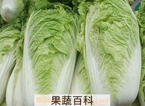 白菜的营养价值 吃白菜的好处