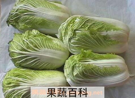 白菜的营养价值 吃白菜的好处