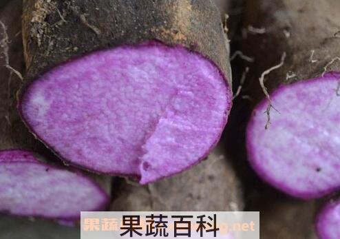 紫心山药怎么做好吃 紫心山药的家常做法