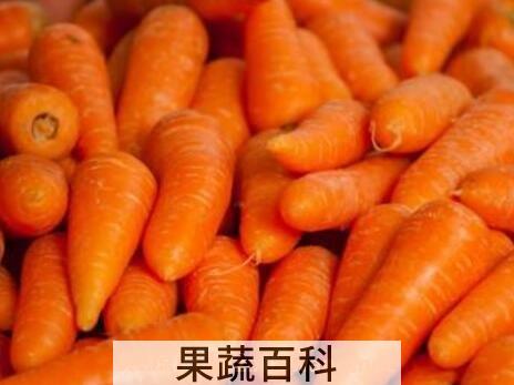 胡萝卜黑芝麻的功效与作用