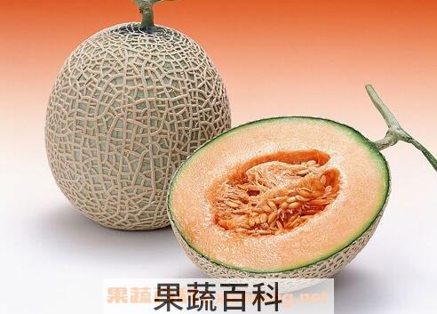 冬天吃哈蜜瓜的好处与坏处