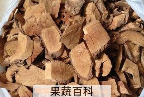 枇杷根的功效与作用
