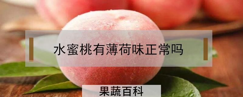 水蜜桃有薄荷味正常吗
