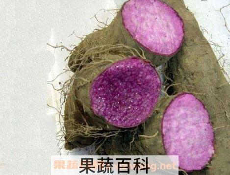 紫心山药的药用价值
