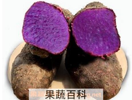 紫心山药的药用价值