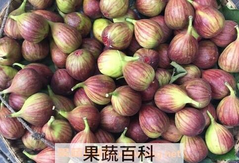 冬天孕妇吃什么水果好