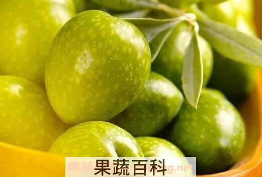 橄榄油可以美容吗