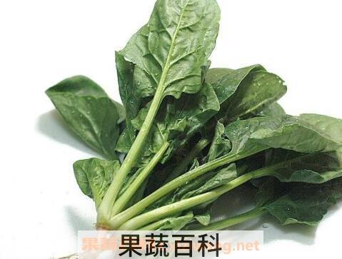 菠菜不能与什么同吃 哪些人不能吃菠菜