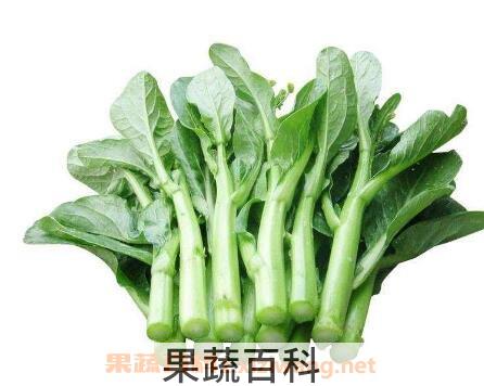 白菜苔如何保鲜 白菜苔如何冷冻保存