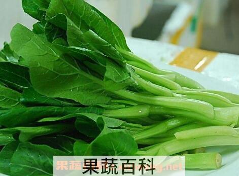 白菜苔如何保鲜 白菜苔如何冷冻保存
