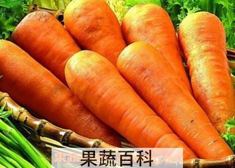 胡萝卜的营养价值有哪些