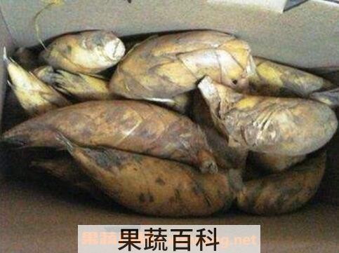 长期保存冬笋的方法