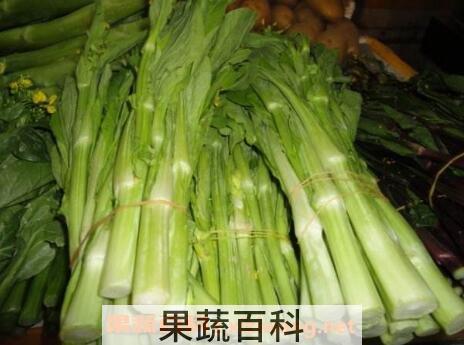 白菜苔的营养价值和营养成分