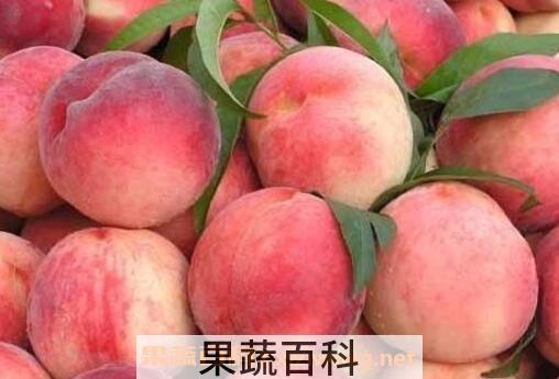 桃子的副作用