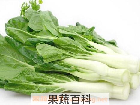 白菜苔和菜心的区别 白菜苔的常见吃法