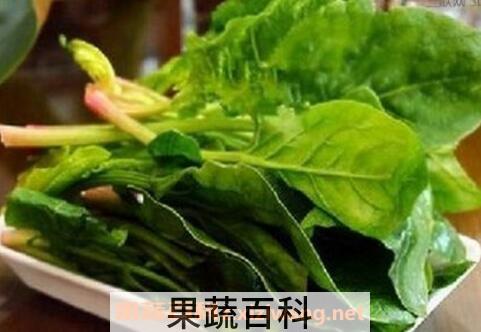 孕妇能吃菠菜吗 孕妇吃菠菜的好处和坏处