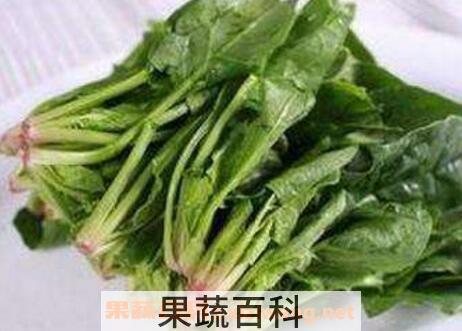 孕妇能吃菠菜吗 孕妇吃菠菜的好处和坏处