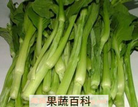 白油菜苔的功效和营养价值