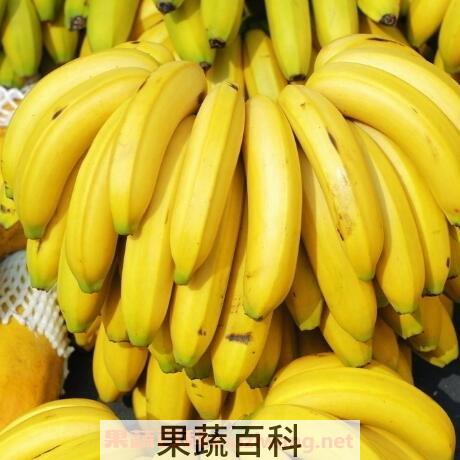  香蕉不能和什么一起吃