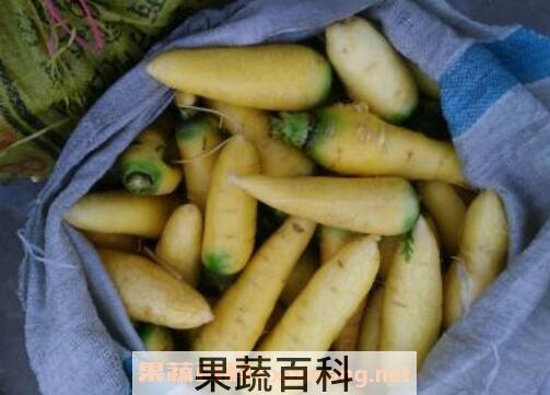 胡萝卜红心和黄心的区别