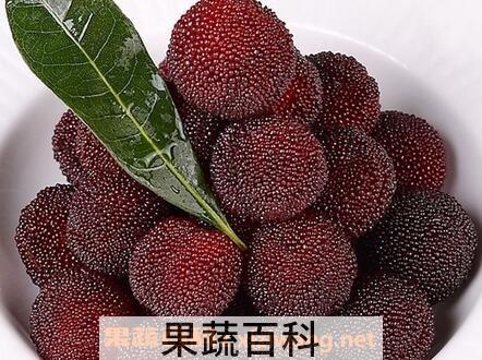 杨梅有什么好处