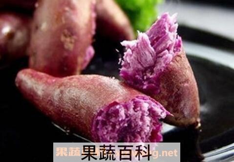 紫心番薯和哪些食物相克 紫心番薯和什么搭配好