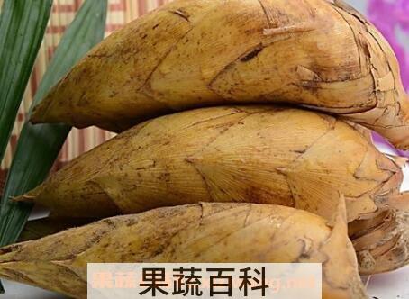 如何才能挖到冬笋 专业挖冬笋的方法