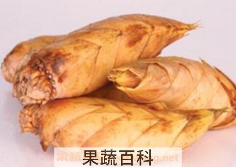 如何才能挖到冬笋 专业挖冬笋的方法