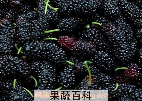 桑葚汁怎么洗