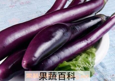 紫茄子和什么水果相克 紫茄子搭配什么吃最好