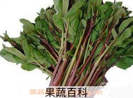 红菜苔的营养价值与功效
