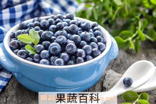 怎样选购蓝莓 蓝莓的挑选方法