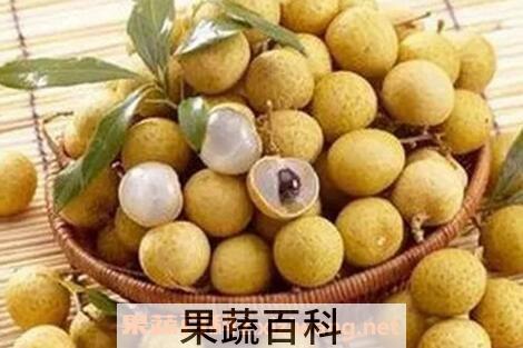 吃龙眼会上火吗