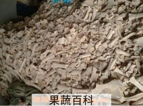 八骨牛粉的功效与作用