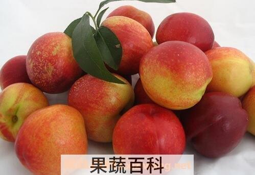 油桃热量高吗 