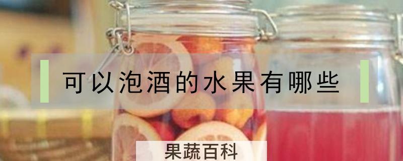 可以泡酒的水果有哪些