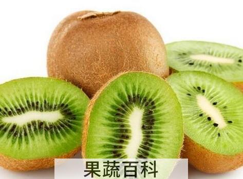 果蔬百科吃猕猴桃的好处有哪些