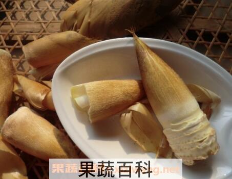 专业保存鲜冬笋的办法
