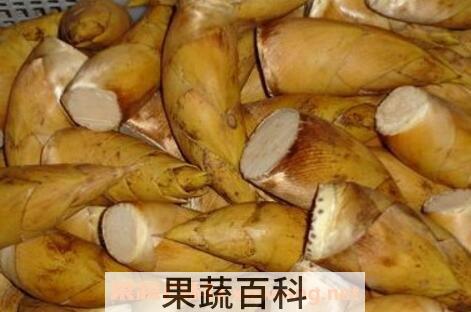 专业保存鲜冬笋的办法
